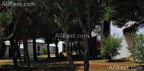 Amarin Camp 23